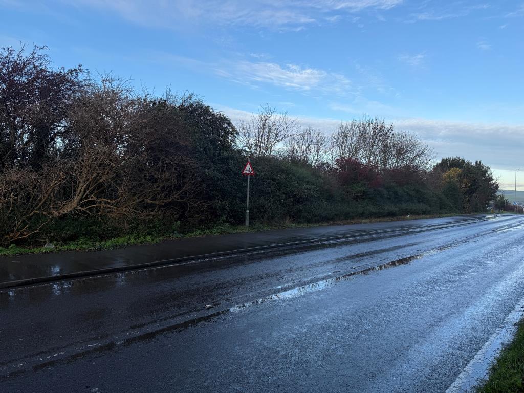 Lot: 48 - THREE ACRES OF LAND WITH POTENTIAL JUST OFF BRIGHTON ROAD - View of land with frontage from east